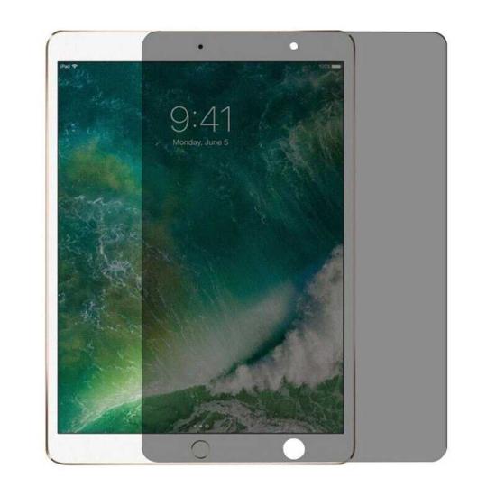 Apple iPad Mini 2-3 Zore Tablet Privacy Temperli Cam Ekran Koruyucu