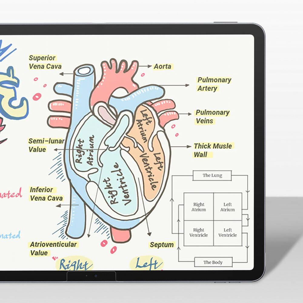 Apple%20iPad%20Pro%2013%202024%20Kağıt%20Hisli%20Benks%20Mat%20Paper-Like%20Ekran%20Koruyucu